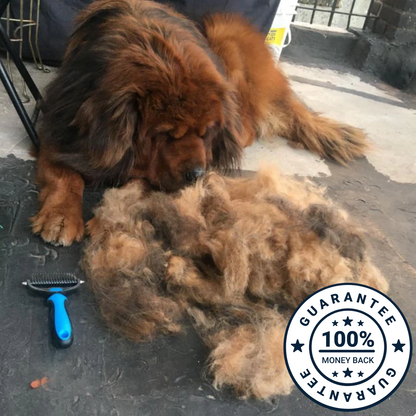 DogWaggo™ DeFurr Deshedding Brush