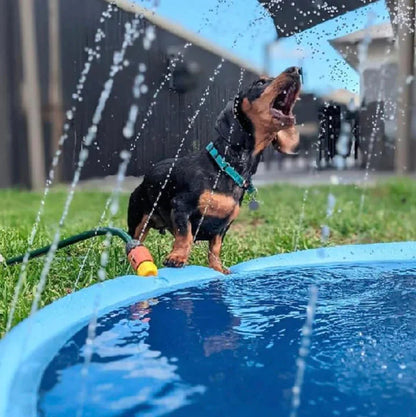 DogWaggo™ Summer Splash Sprinkler Pad