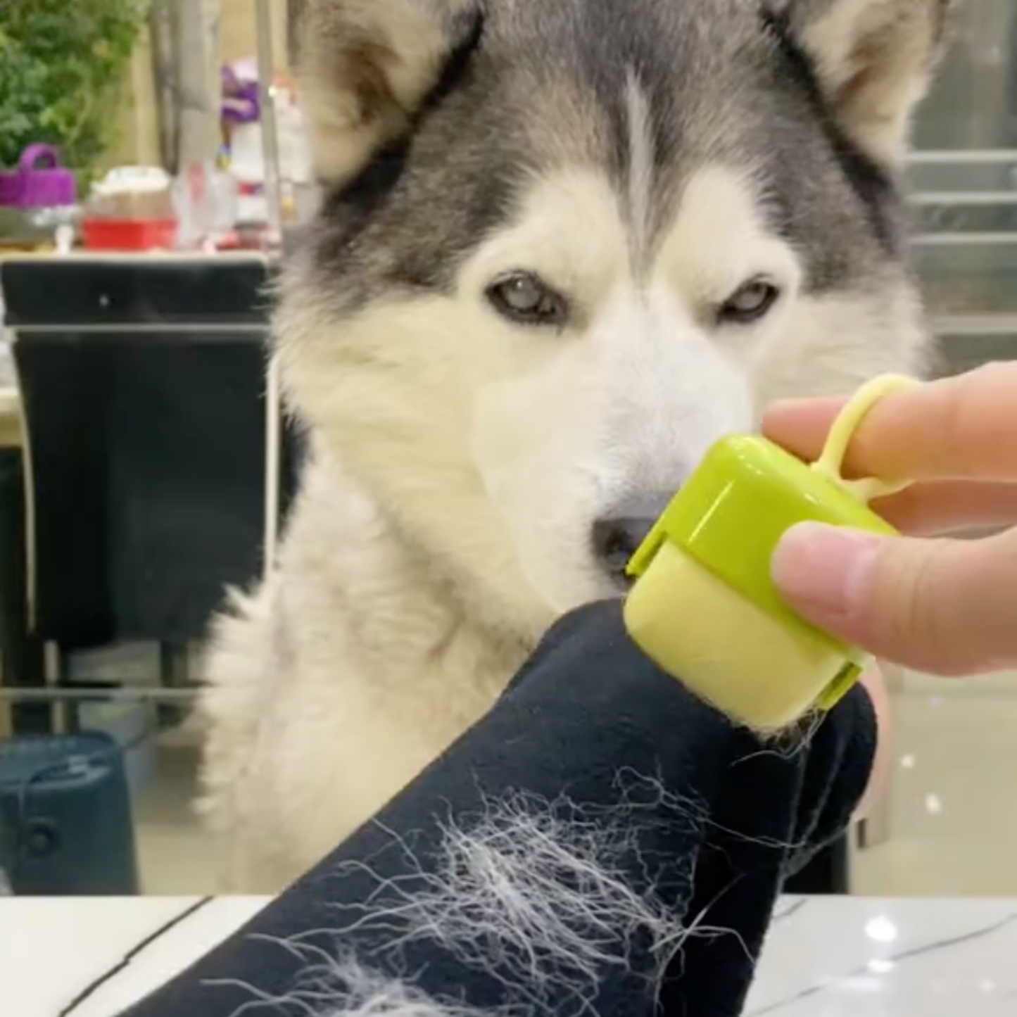 DogWaggo™ Sticky & Reusable Lint Remover