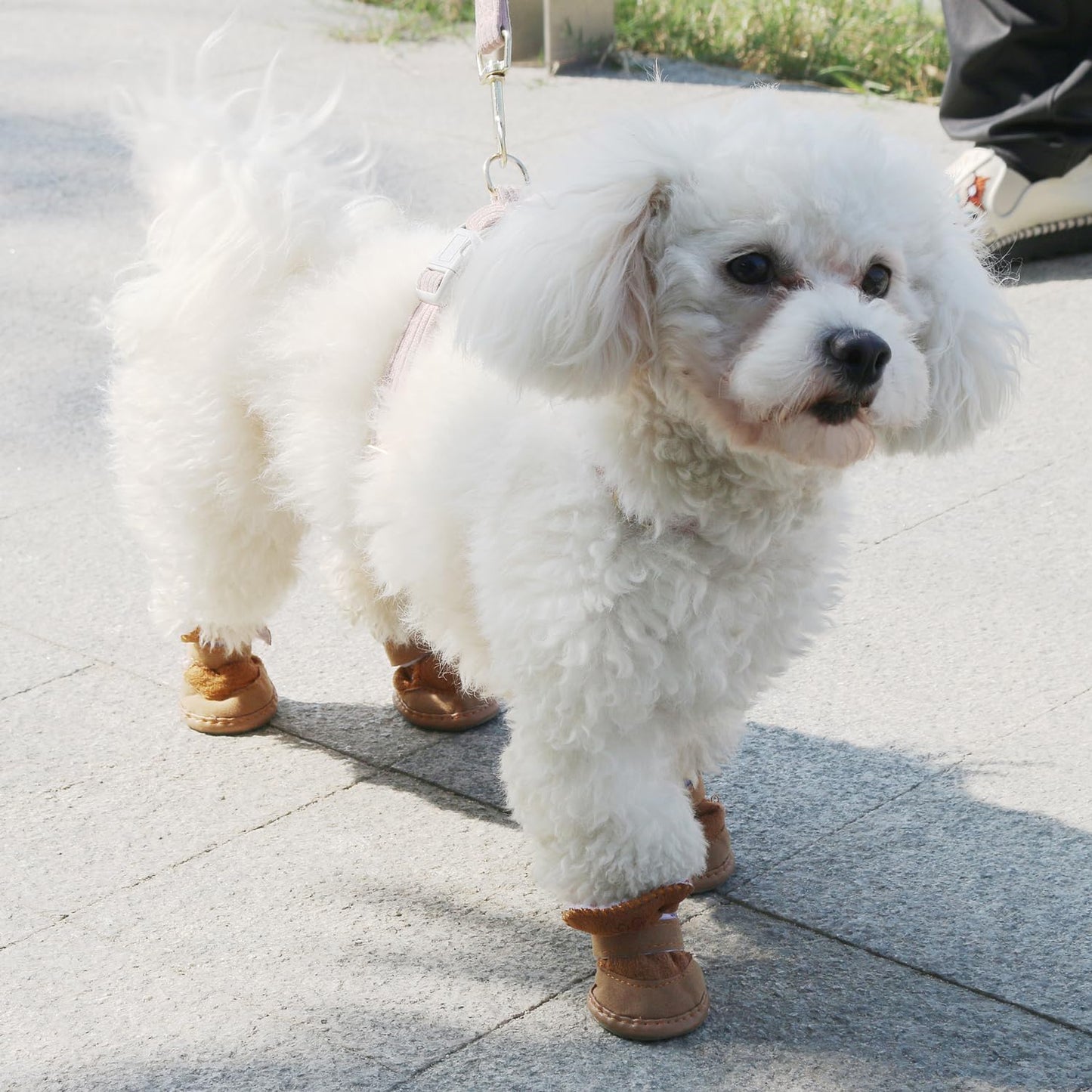 DogWaggo™ Ultra-Warm Winter Dog Shoes