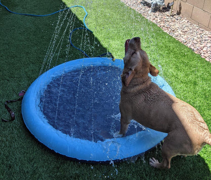 DogWaggo™ Summer Splash Sprinkler Pad