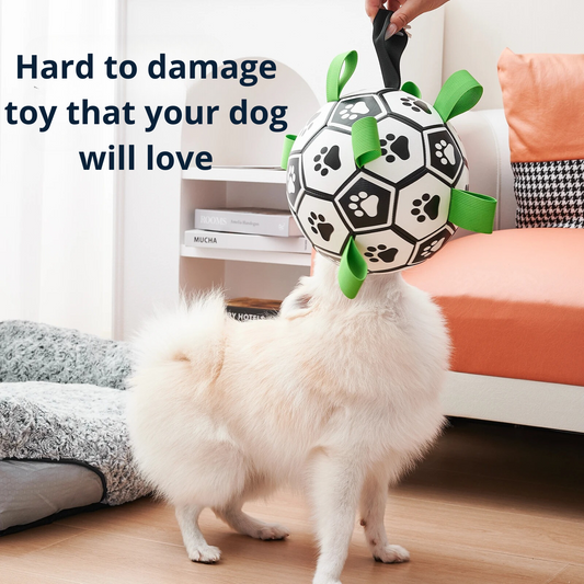 DogWaggo™ Interactive Dog Soccer Ball