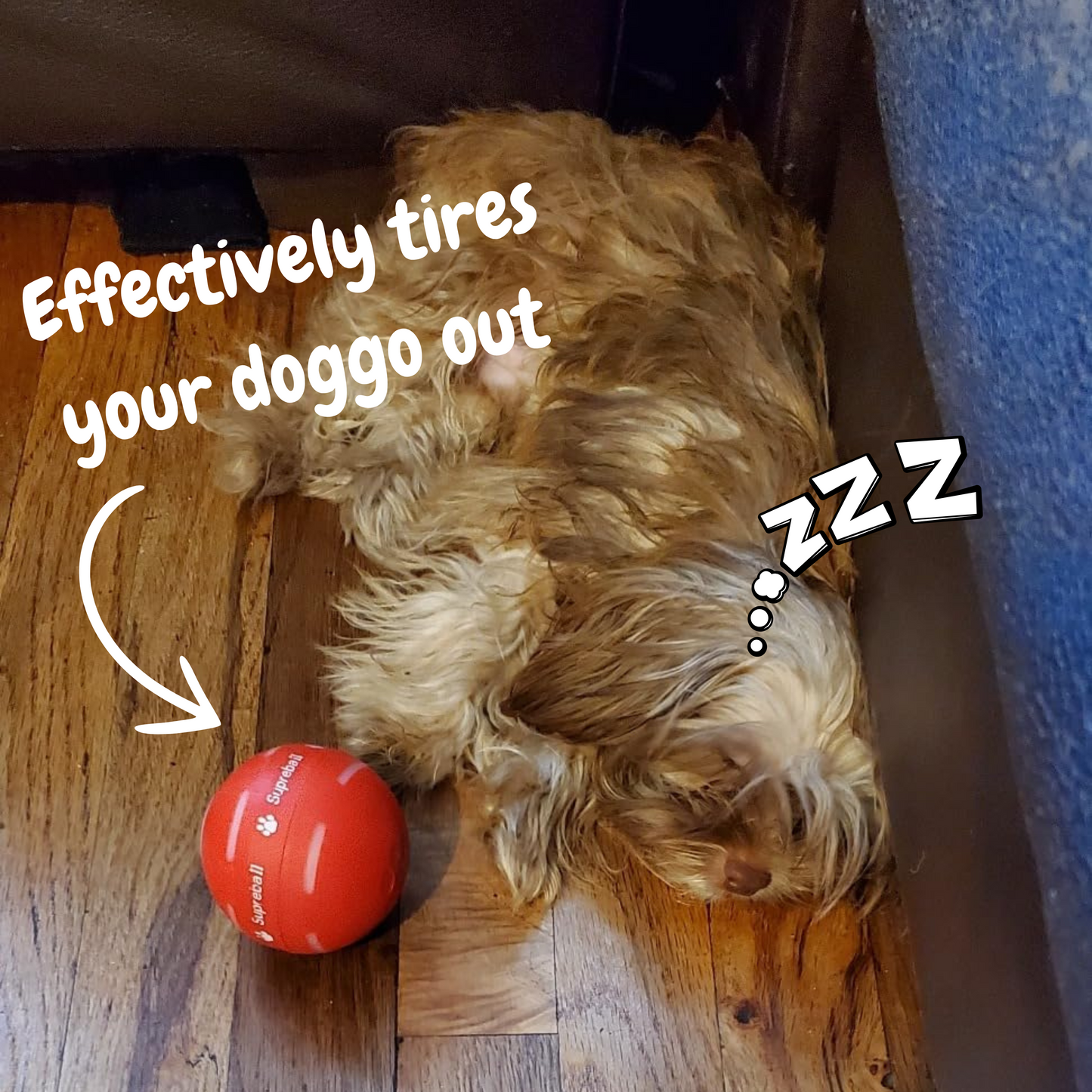 DogWaggo™ Interactive Bouncing Ball