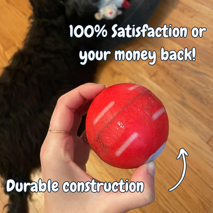 DogWaggo™ Interactive Bouncing Ball