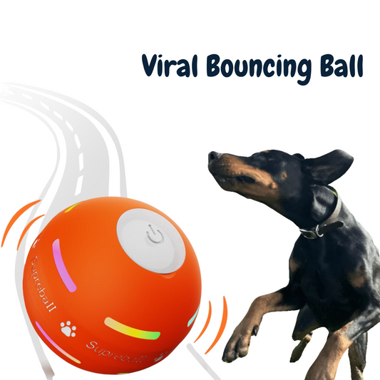 DogWaggo™ Interactive Bouncing Ball