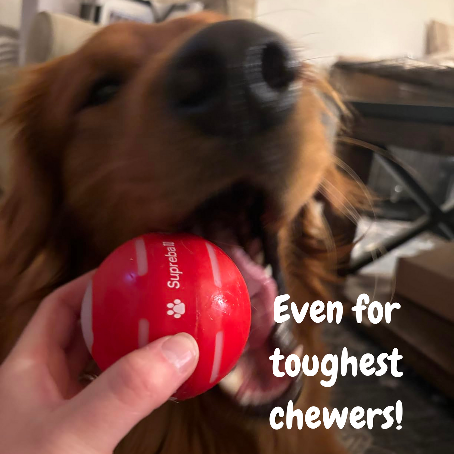 DogWaggo™ Interactive Bouncing Ball