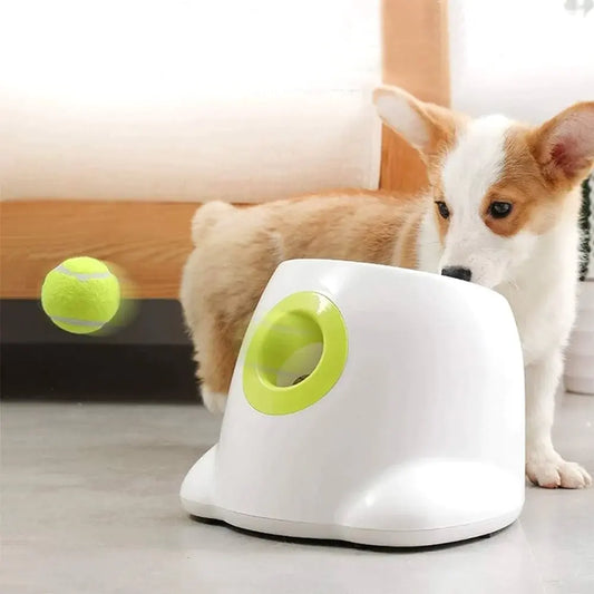 DogWaggo™ Automatic Tennis Ball Launcher