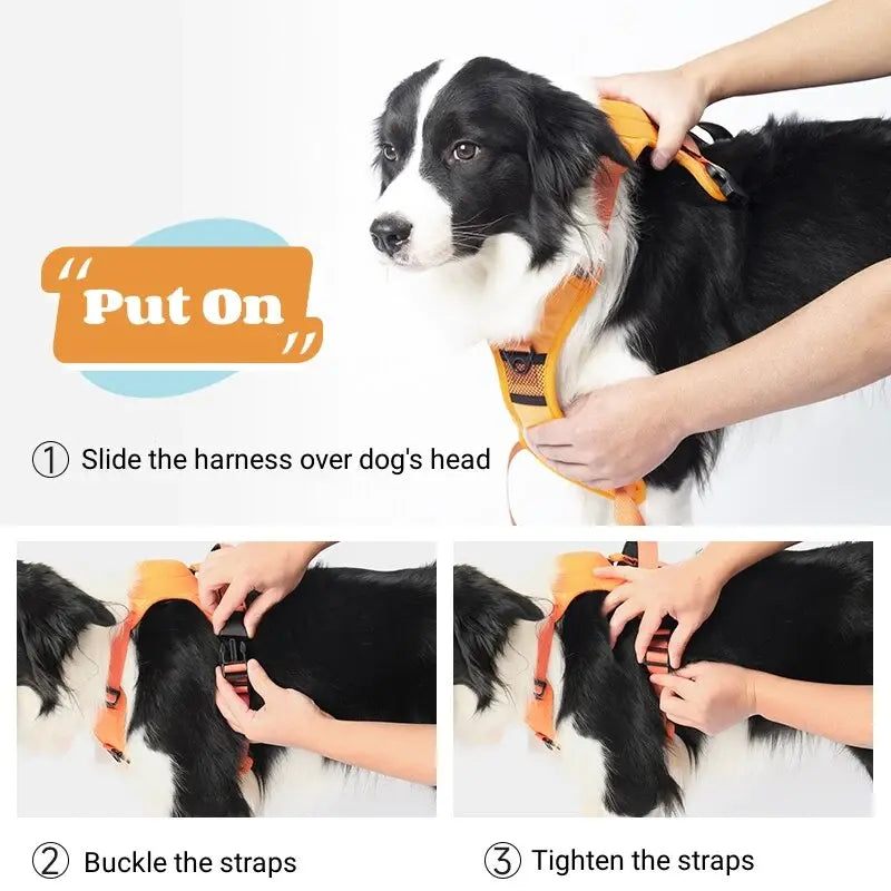 DogWaggo™ Anti-Pull Adjustable Harness with Leash