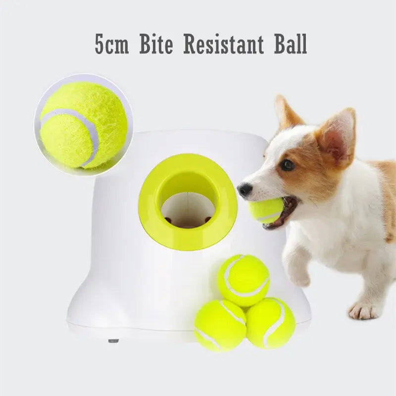 DogWaggo™ Automatic Tennis Ball Launcher