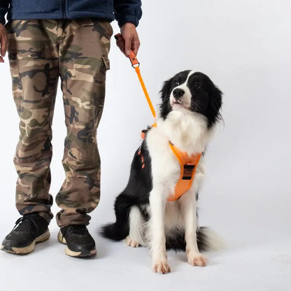 DogWaggo™ Anti-Pull Adjustable Harness with Leash