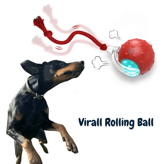 DogWaggo™ Smart Rolling Ball for Dogs