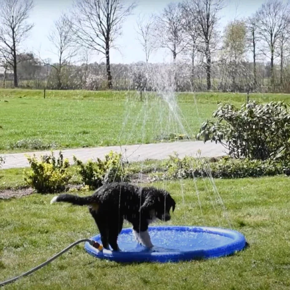 DogWaggo™ Summer Splash Sprinkler Pad