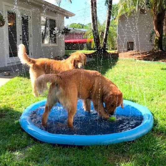 DogWaggo™ Summer Splash Sprinkler Pad