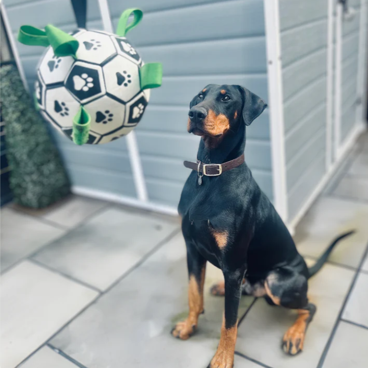 DogWaggo™ Interactive Dog Soccer Ball