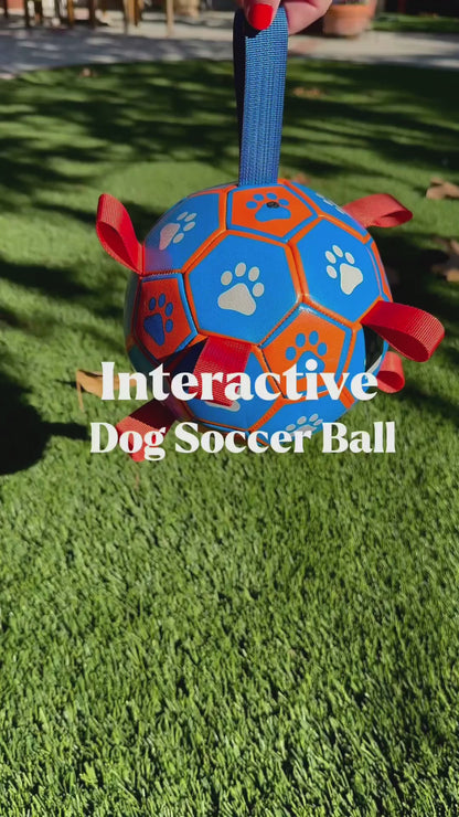 DogWaggo™ Interactive Dog Soccer Ball